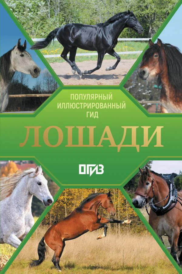Лошади. Иллюстрированный гид