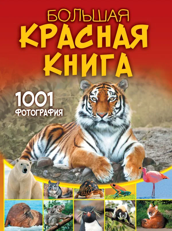 Большая красная книга. 1001 фотография