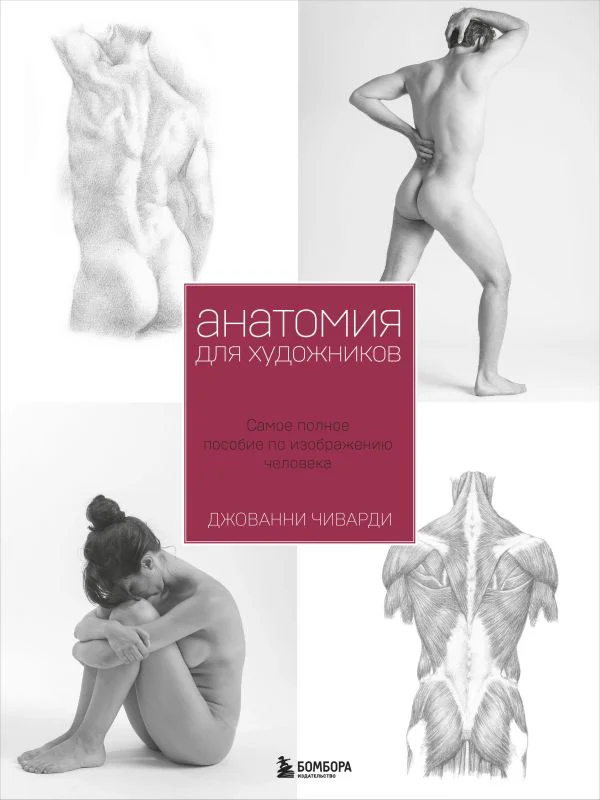 Анатомия для художника. Самое полное пособие по изображению человека